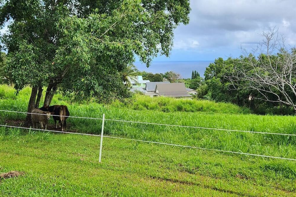 Photo of Others in Papaaloa