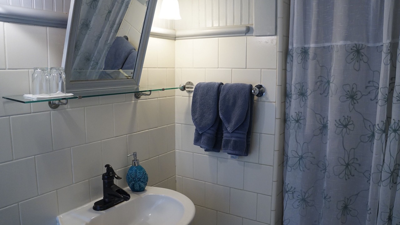 Photo of Bathroom in Manoa