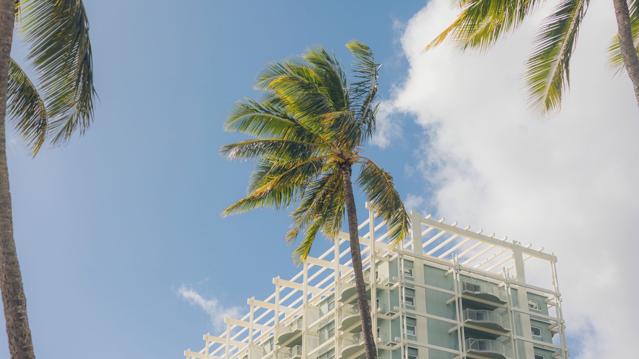 Photo of Outdoor in Waialae Iki