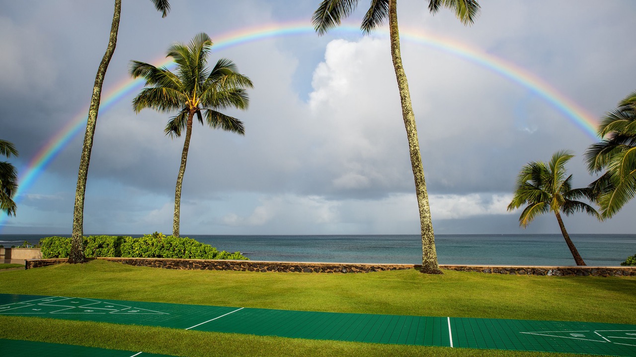 Photo of Others in Napili