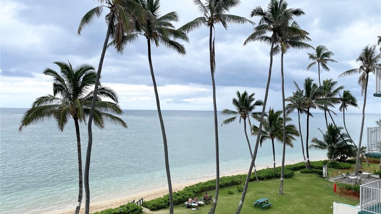 Photo of Outdoor in Punaluu