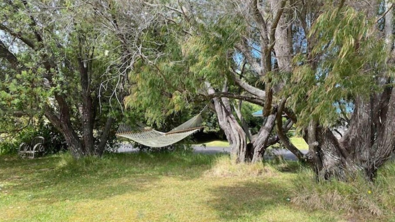 Photo of Outdoor in Volcano