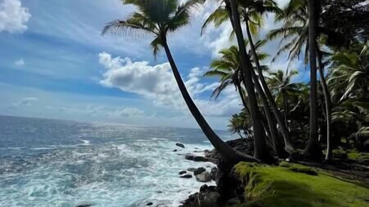 Photo of Others in Hawaiian Acres