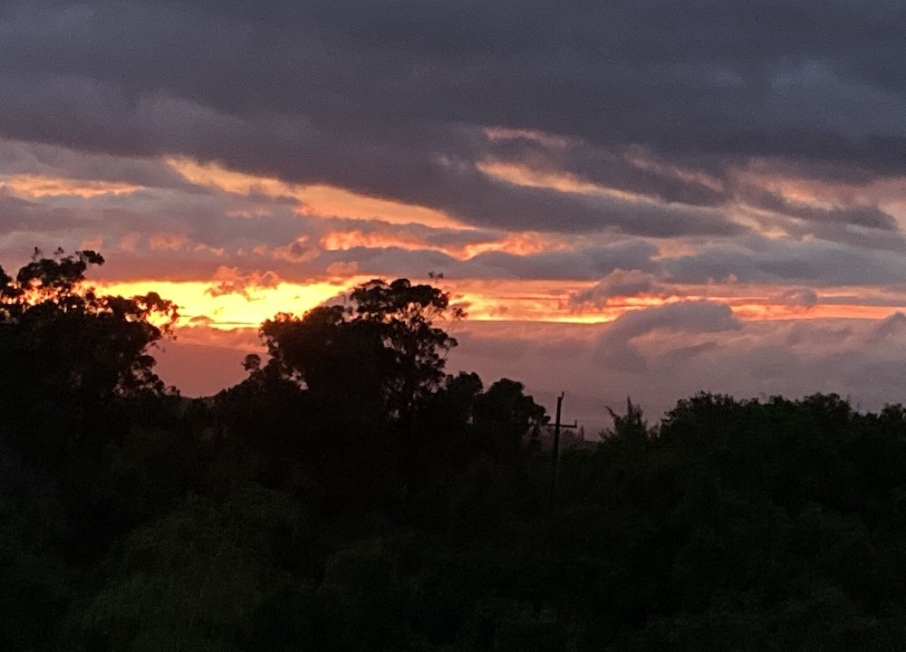 Photo of Outdoor in Pauwela