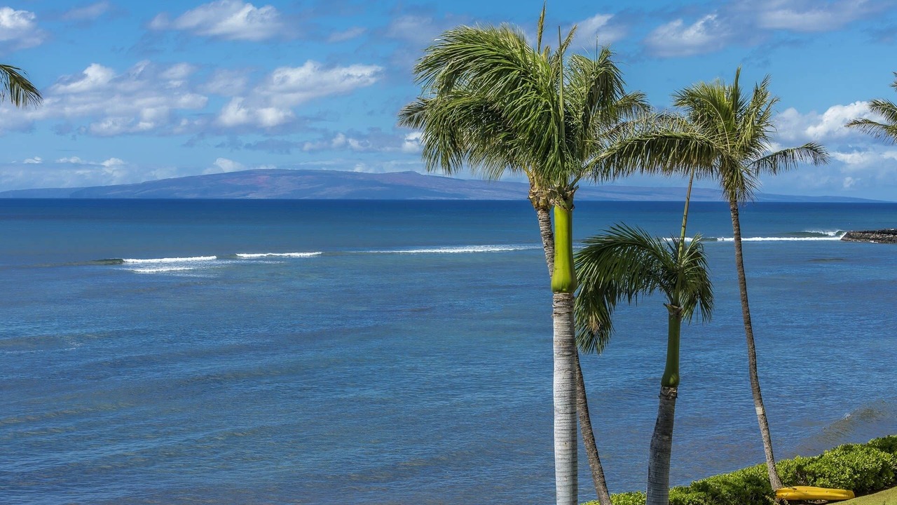 Photo of Others in Maalaea