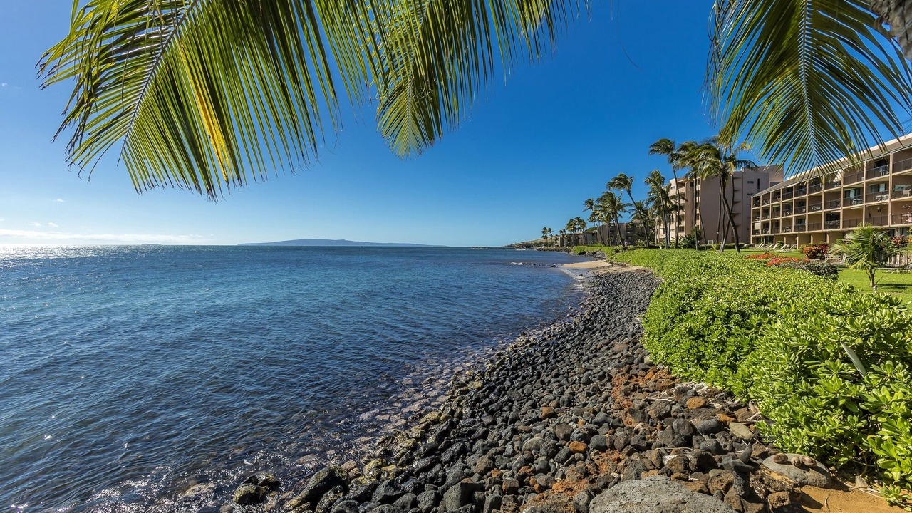 Photo of Others in Maalaea