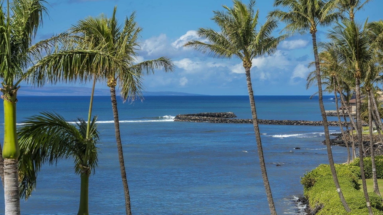 Photo of Others in Maalaea