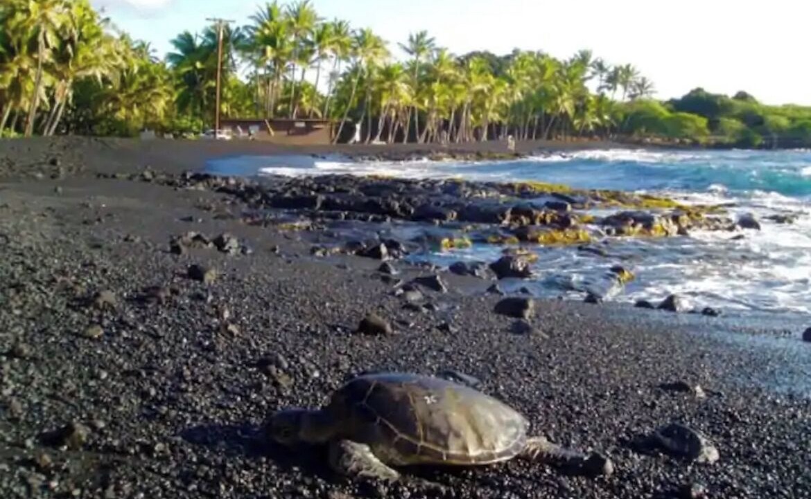 Photo of Others in Keaau