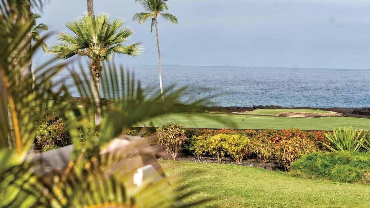 Photo of Others in Wailua