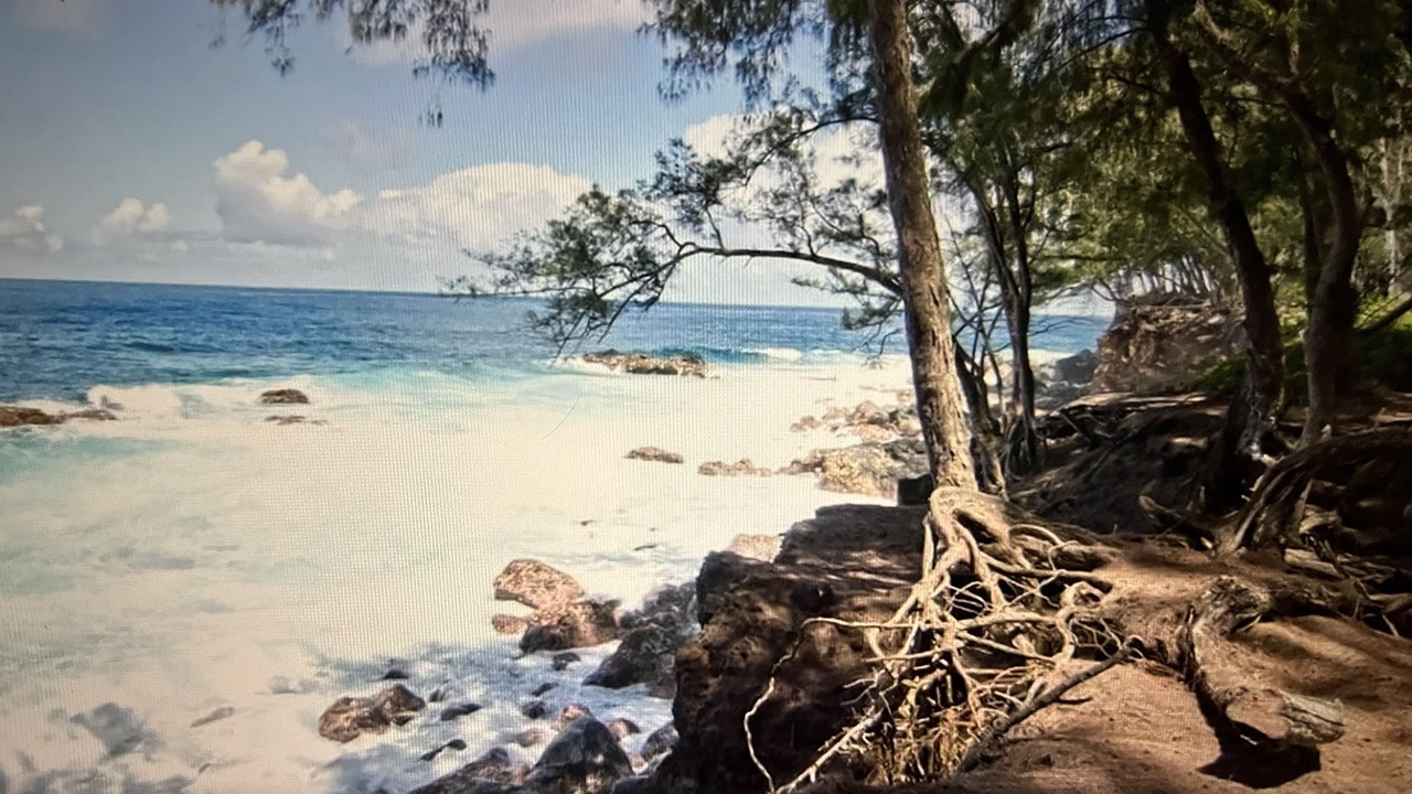 Photo of Others in Pepeekeo