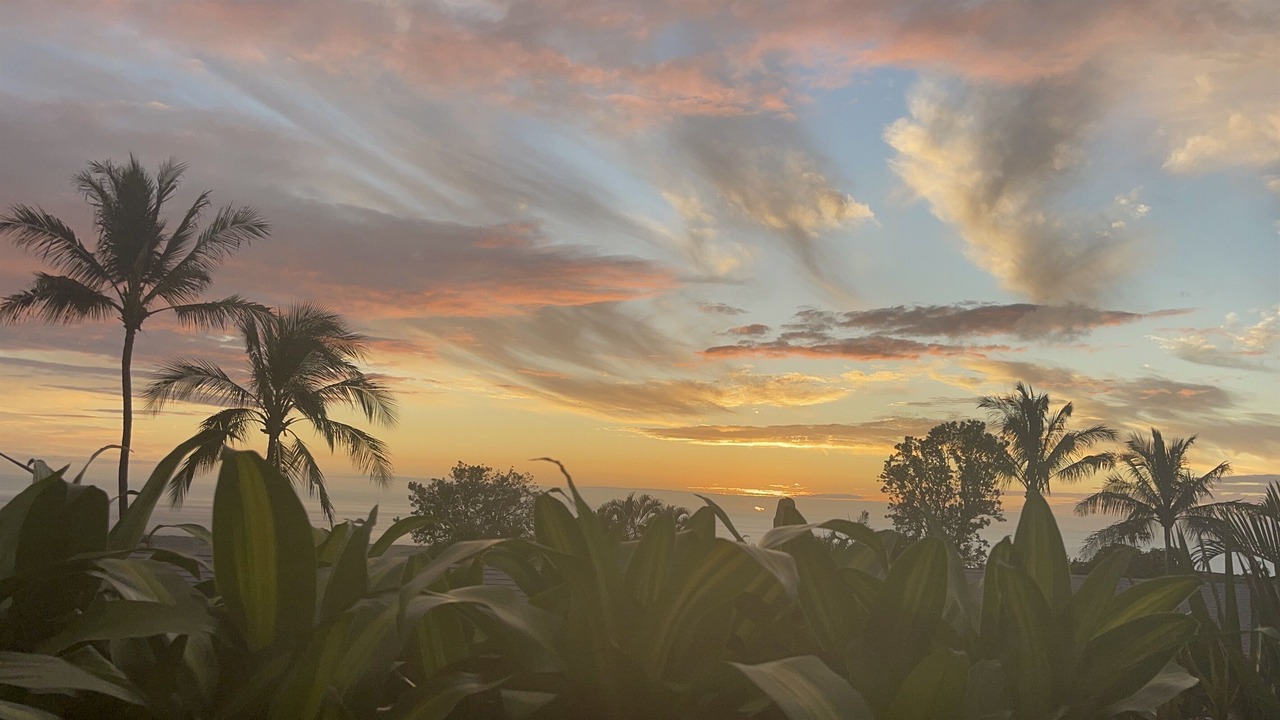 Photo of Others in Kona Palisades