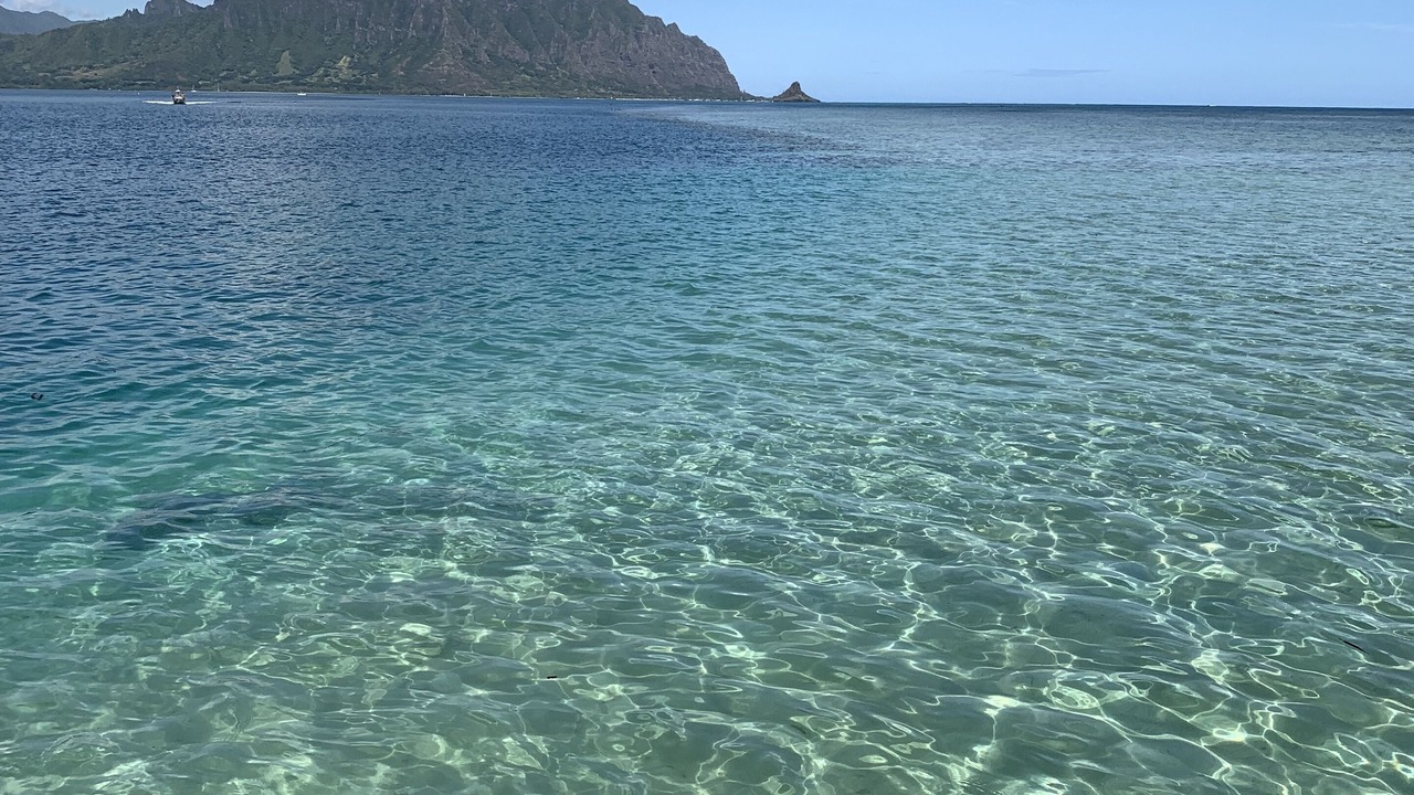 Photo of Others in Lanikai