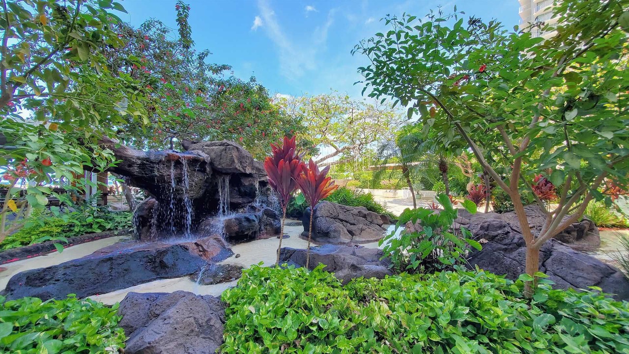 Photo of Outdoor in Waikiki