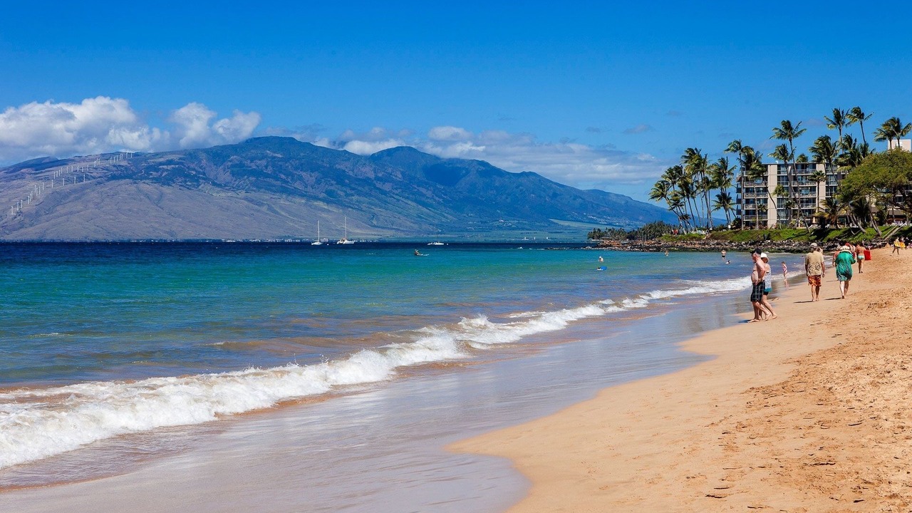 Photo of Others in Kihei