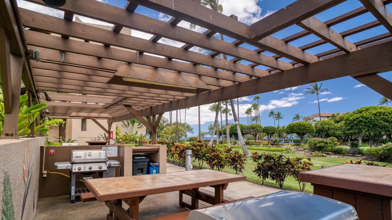 Photo of Outdoor in Kihei