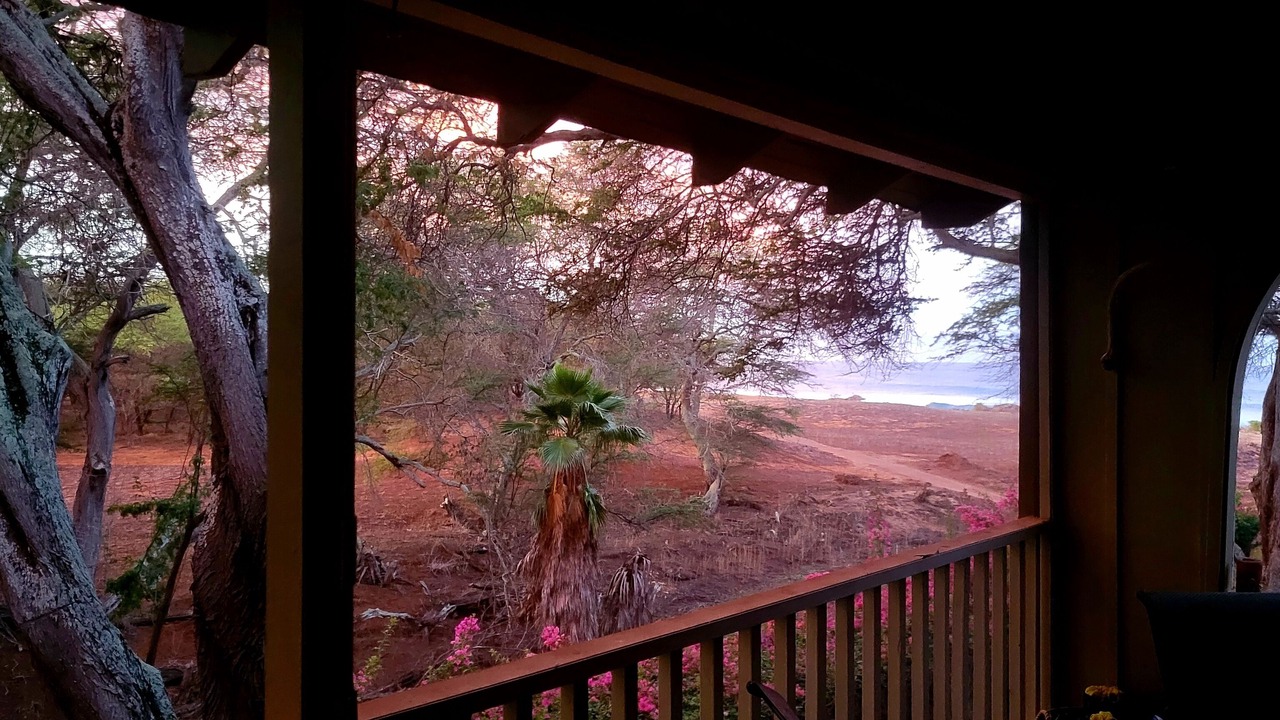 Photo of Others in Maunaloa