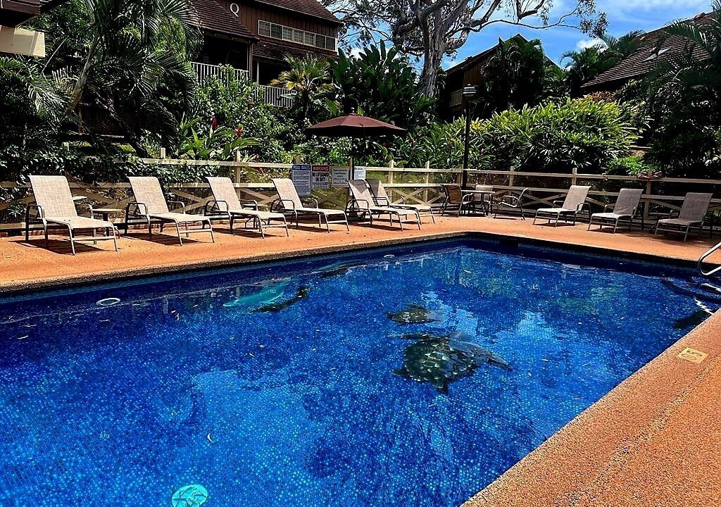Photo of Outdoor in Maunaloa
