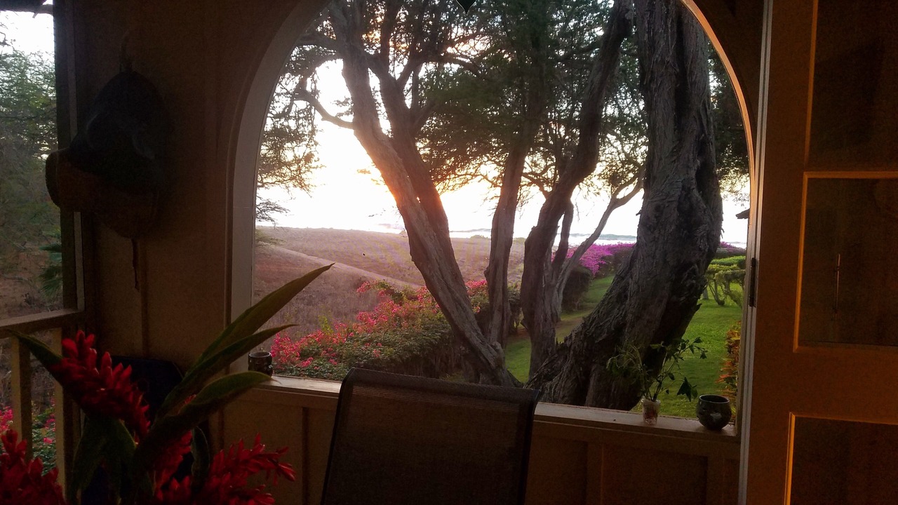 Photo of Others in Maunaloa