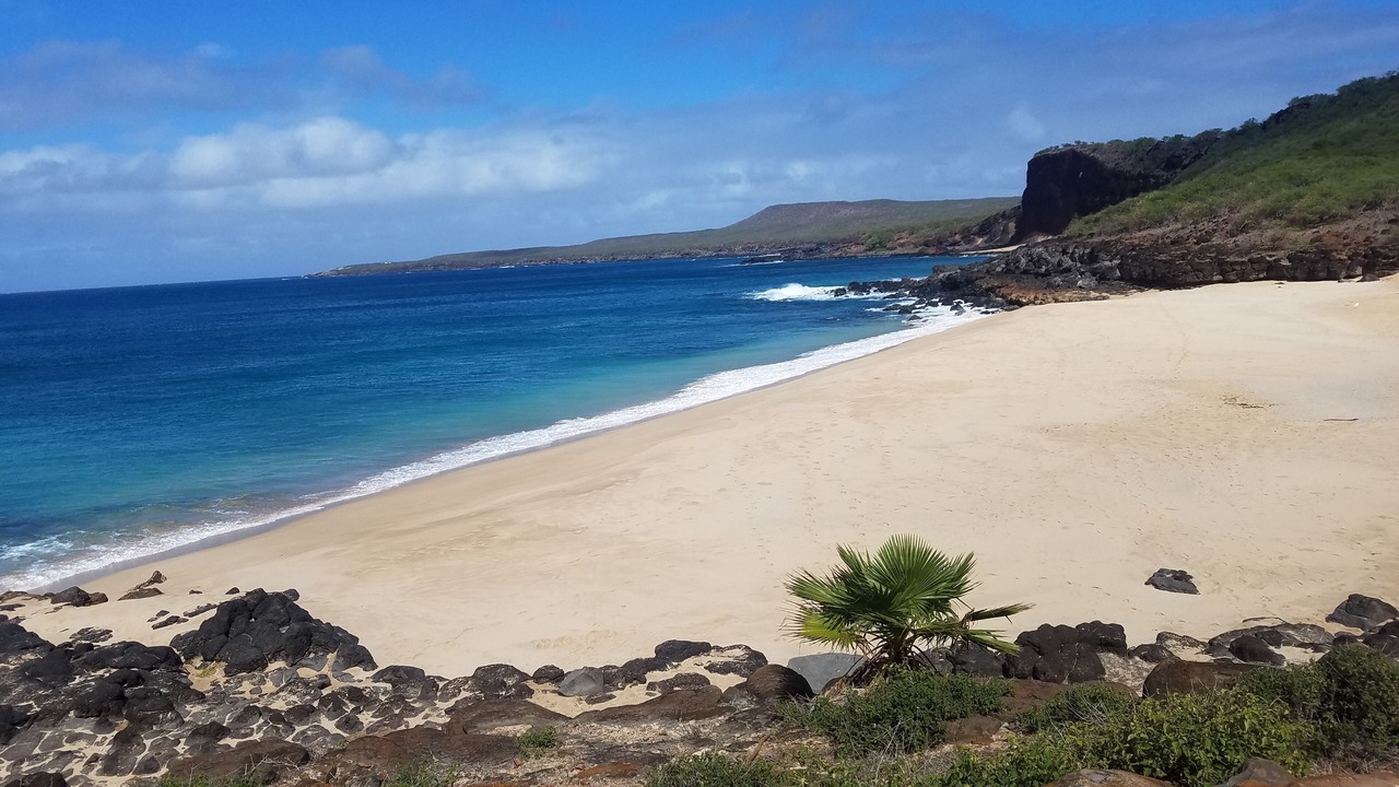 Photo of Others in Maunaloa