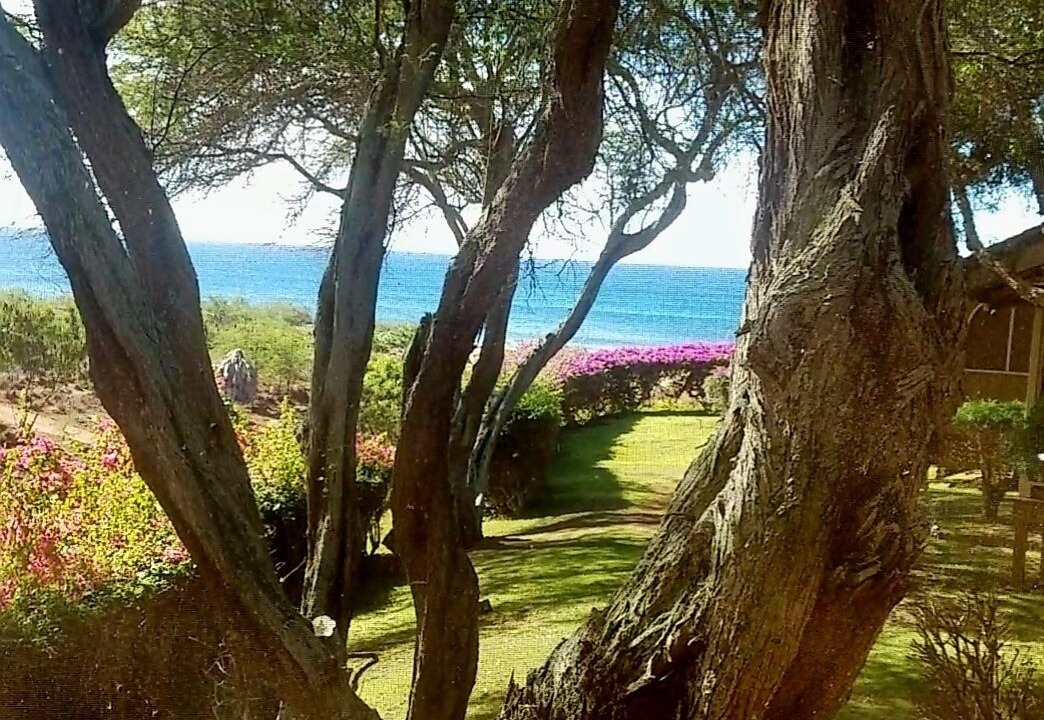 Photo of Outdoor in Maunaloa