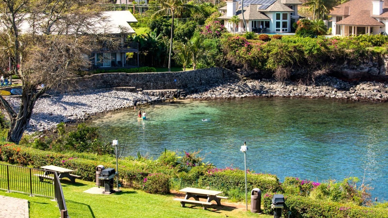 Photo of Others in Napili