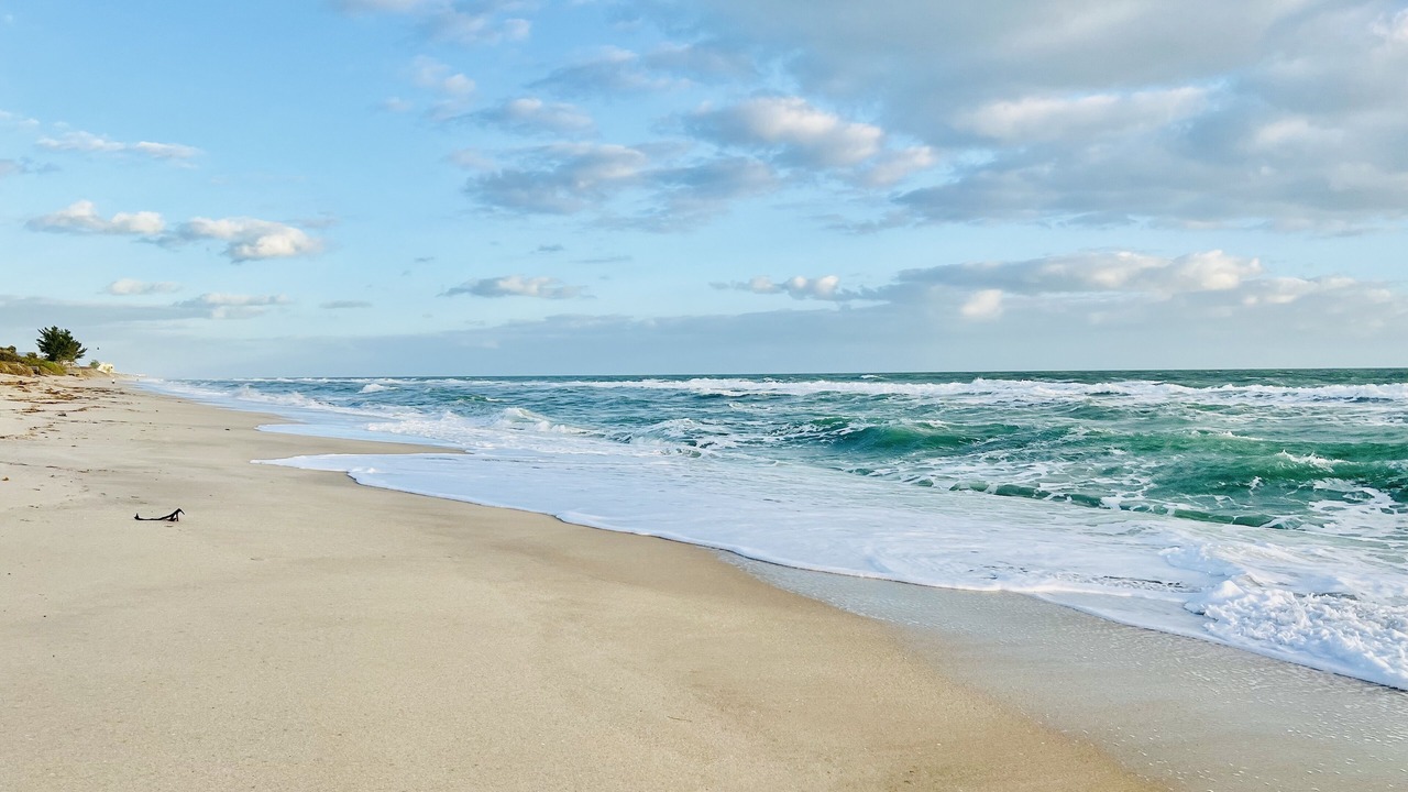 Photo of Others in Melbourne Beach