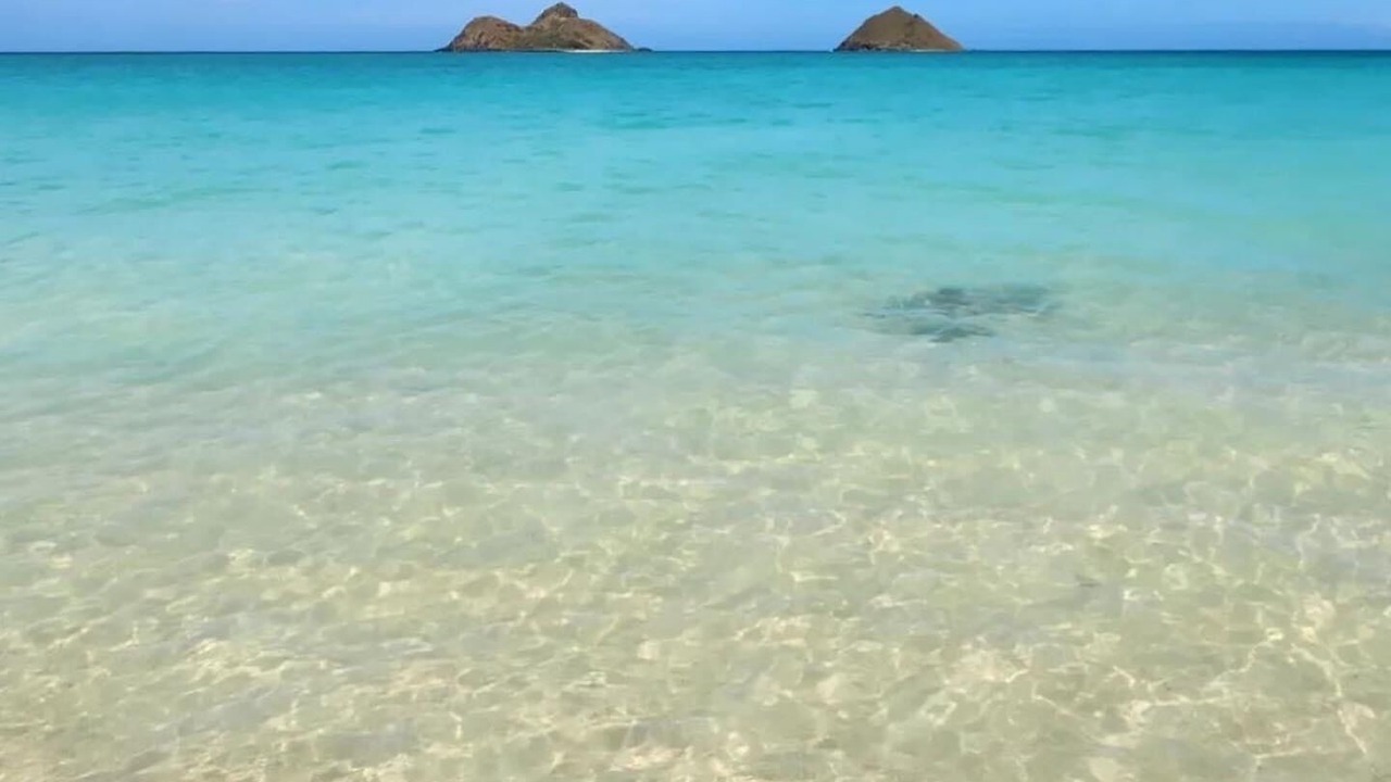 Photo of Others in Lanikai