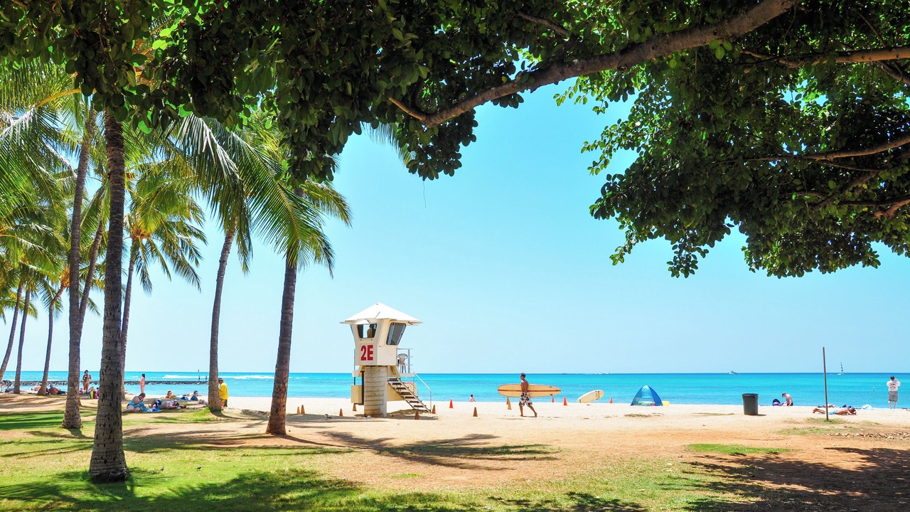 Photo of Others in Waikiki