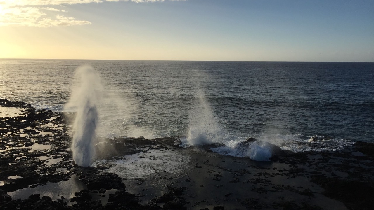 Photo of Others in Poipu