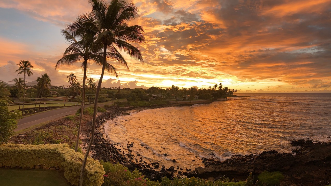 Photo of Others in Poipu