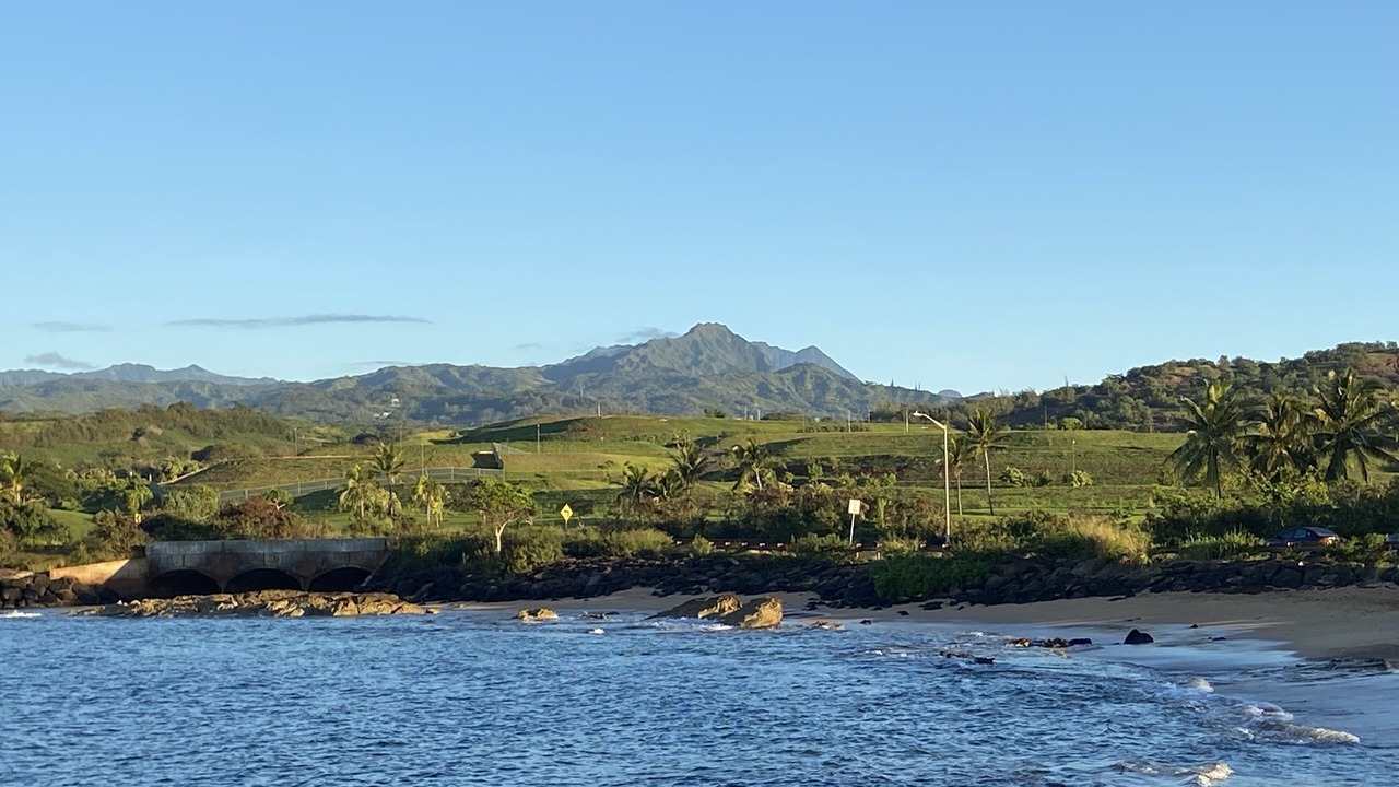 Photo of Others in Poipu