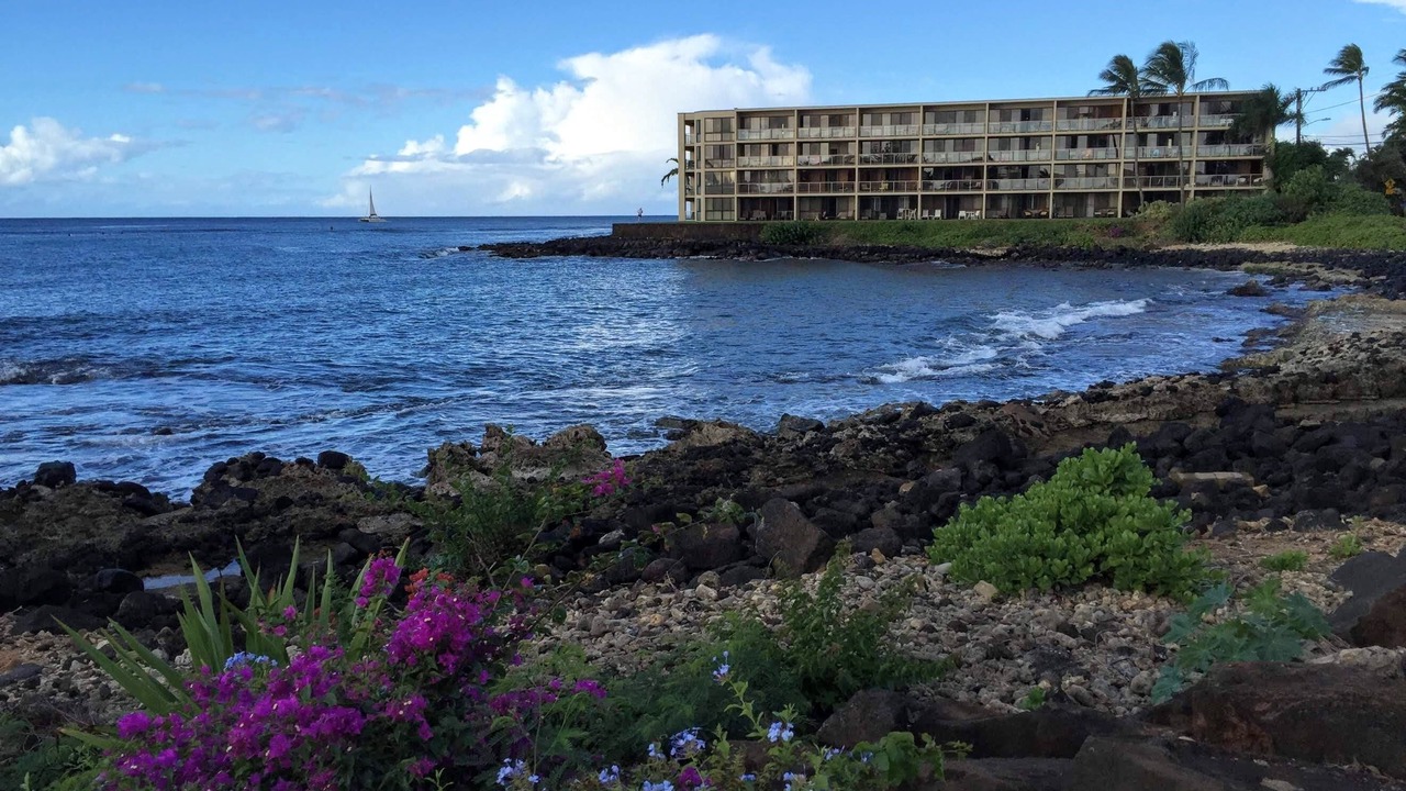 Photo of Others in Poipu