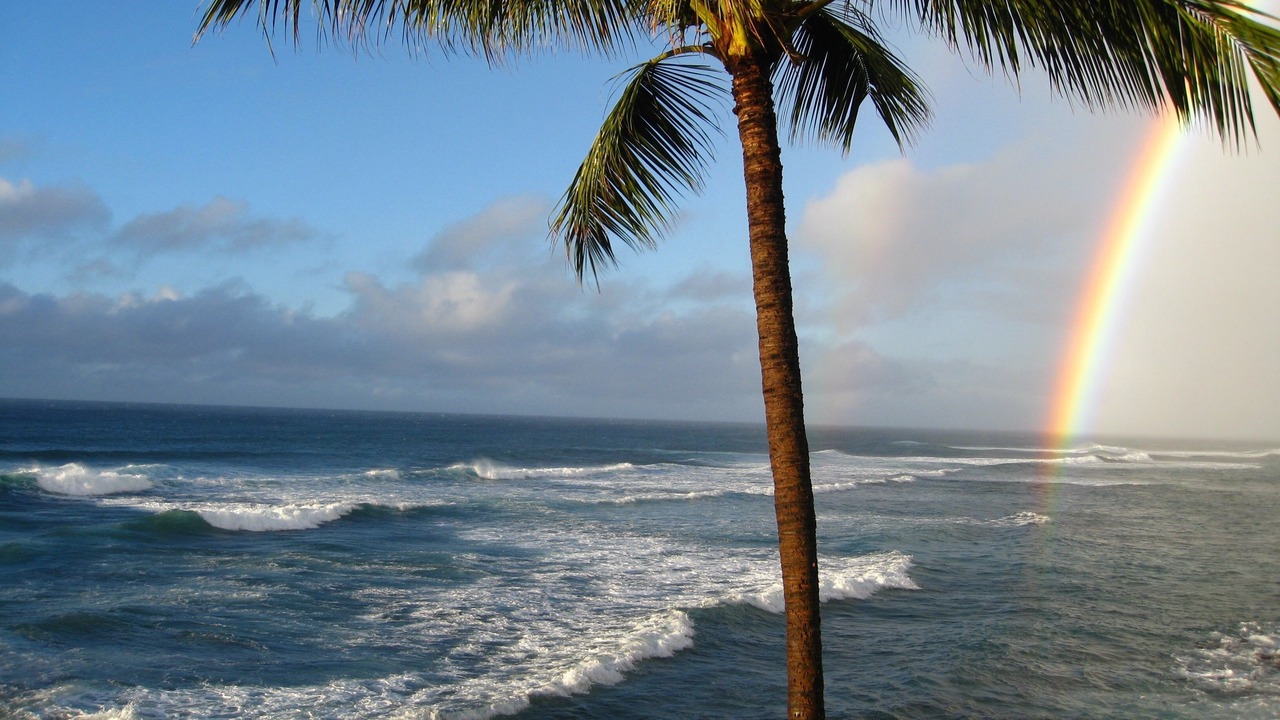 Photo of Others in Poipu
