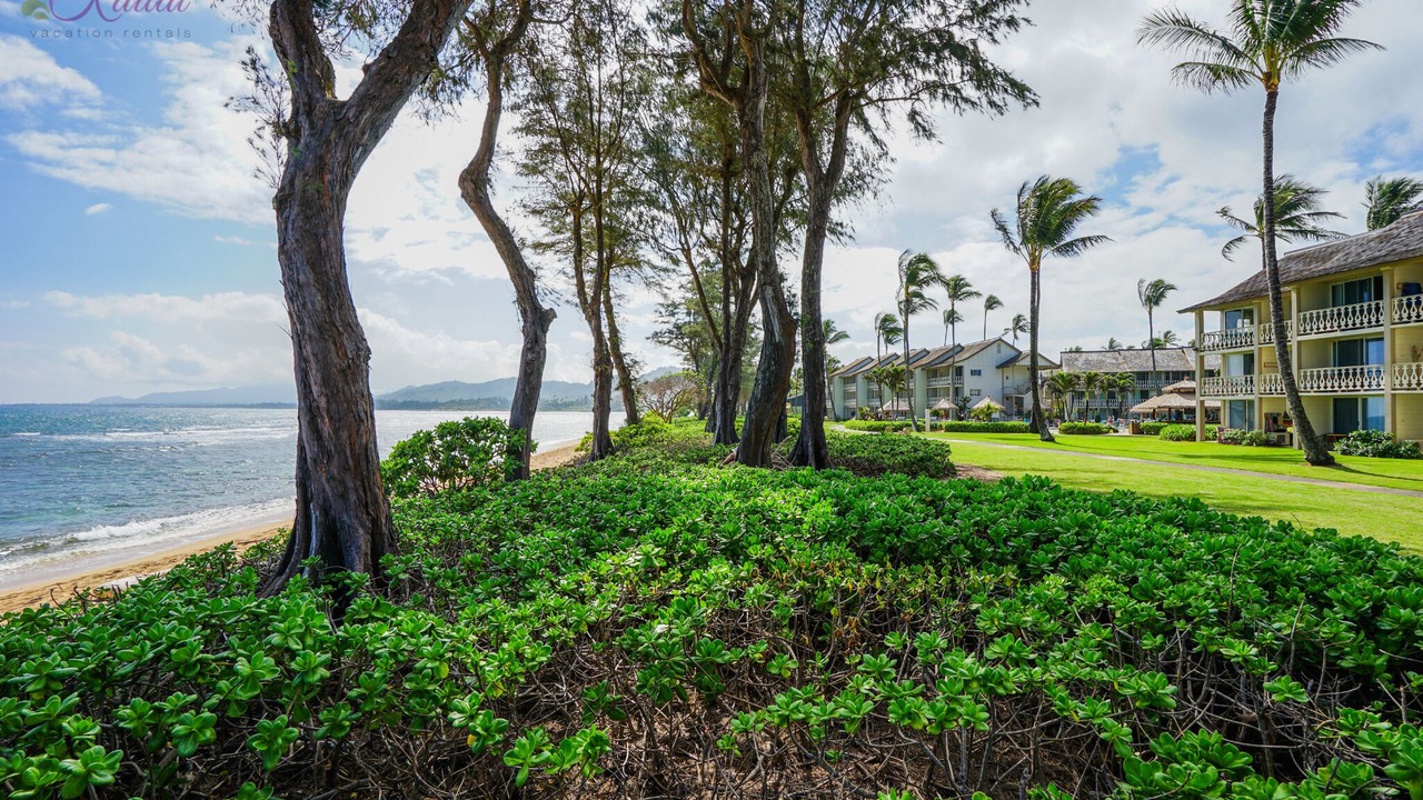Photo of Outdoor in Wailua