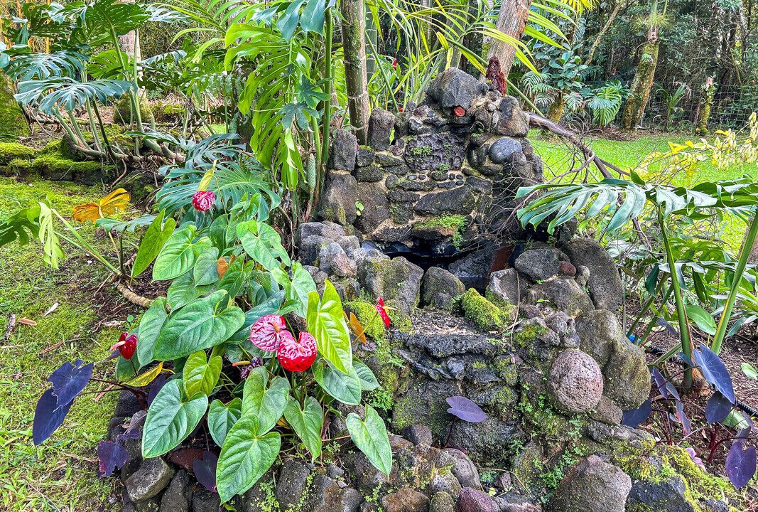 Photo of Outdoor in Keaau