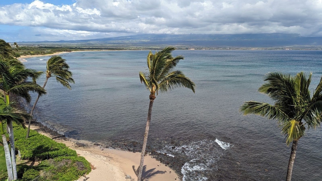 Photo of Others in Maalaea