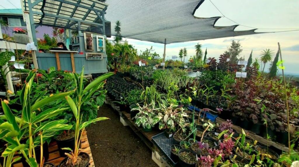 Photo of Outdoor in Ocean View