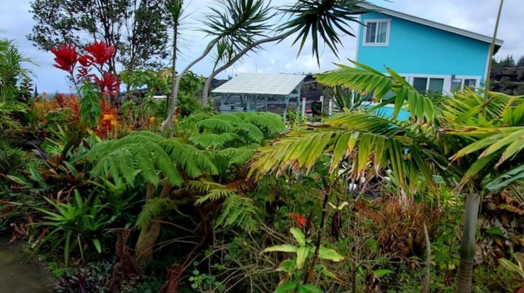 Photo of Outdoor in Ocean View