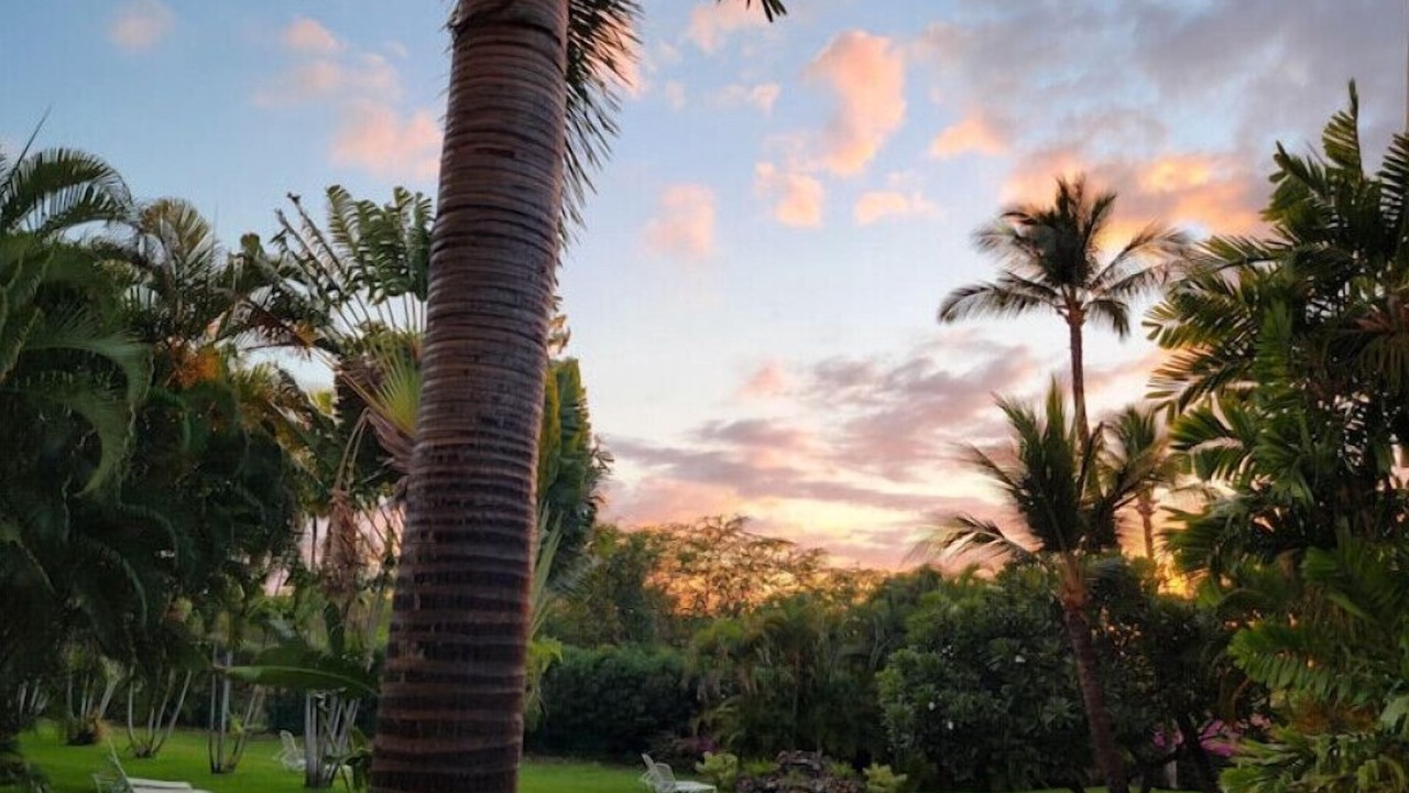 Photo of Outdoor in Kihei
