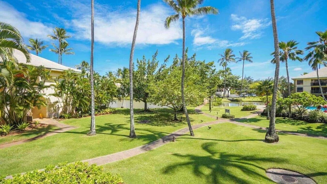 Photo of Outdoor in Hanamaulu