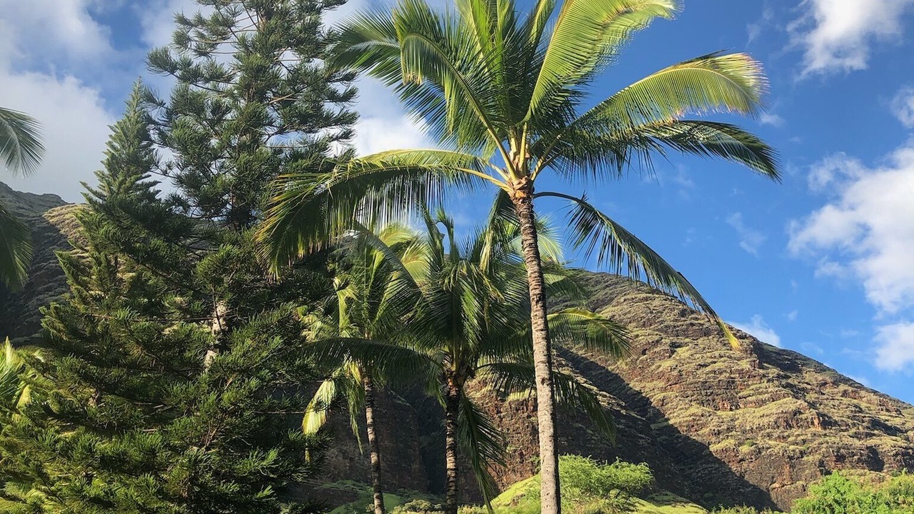Photo of Others in Makaha Valley