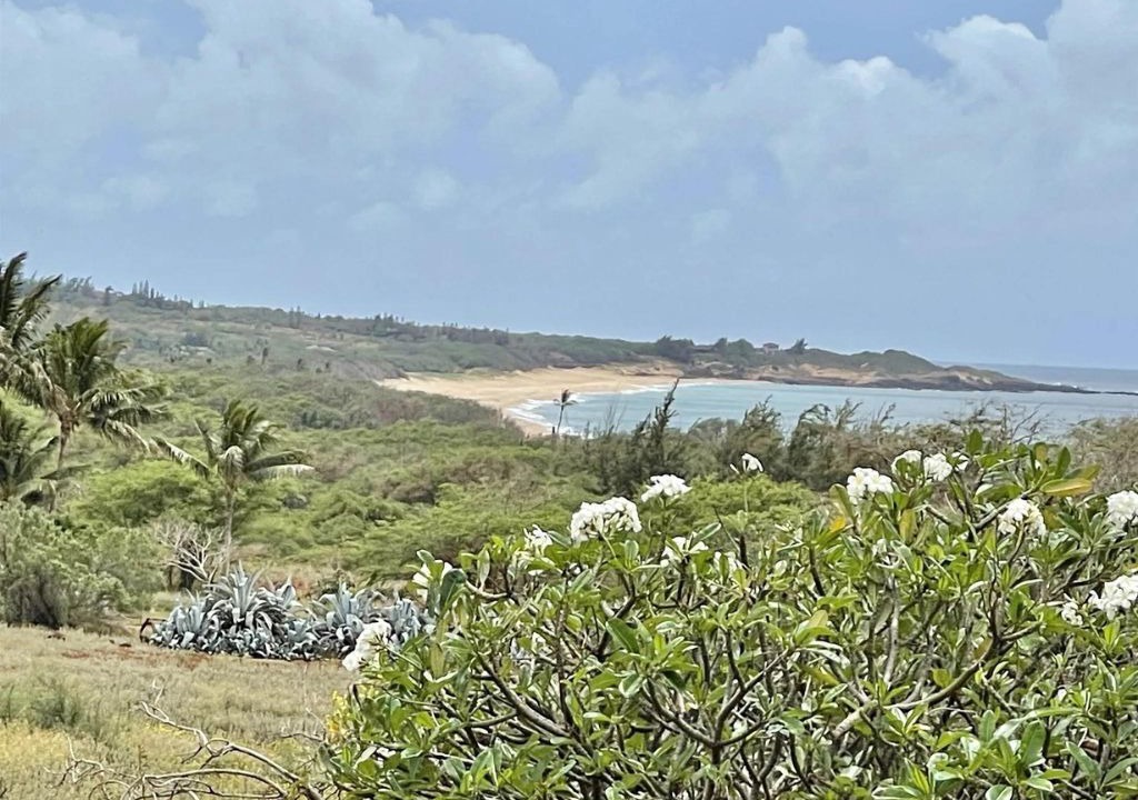 Photo of Outdoor in Maunaloa