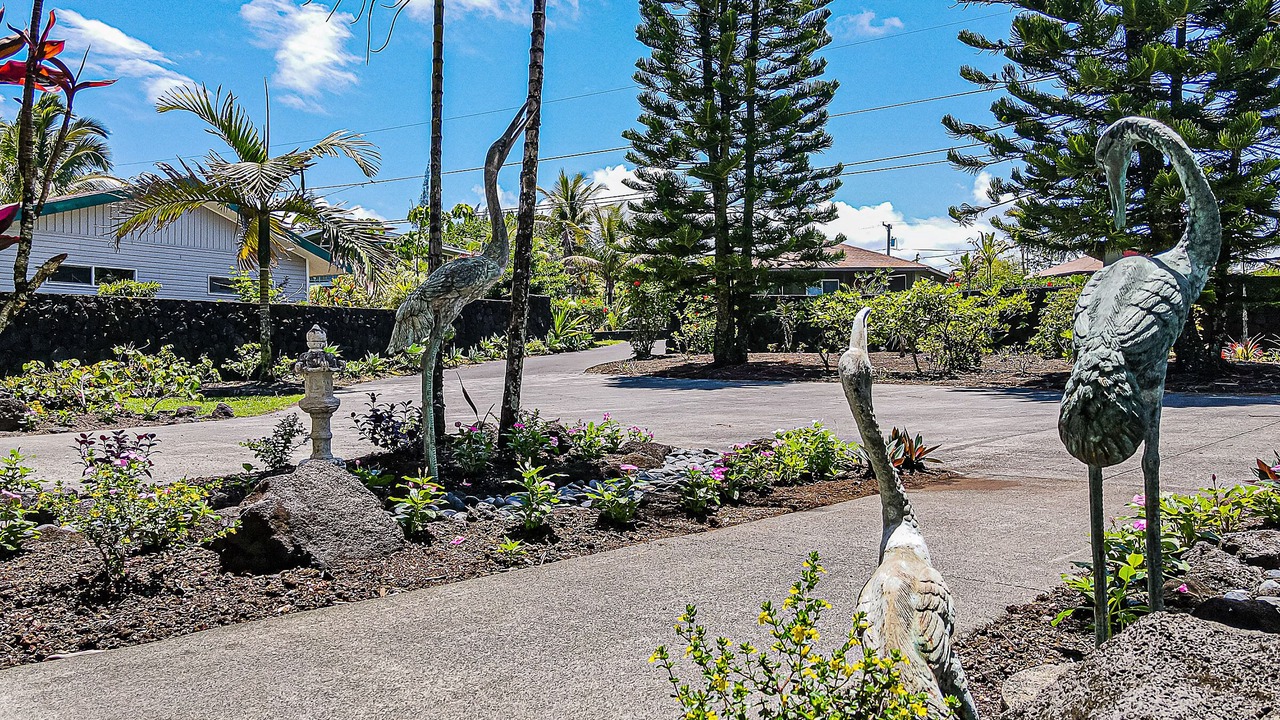 Photo of Outdoor in Keaau