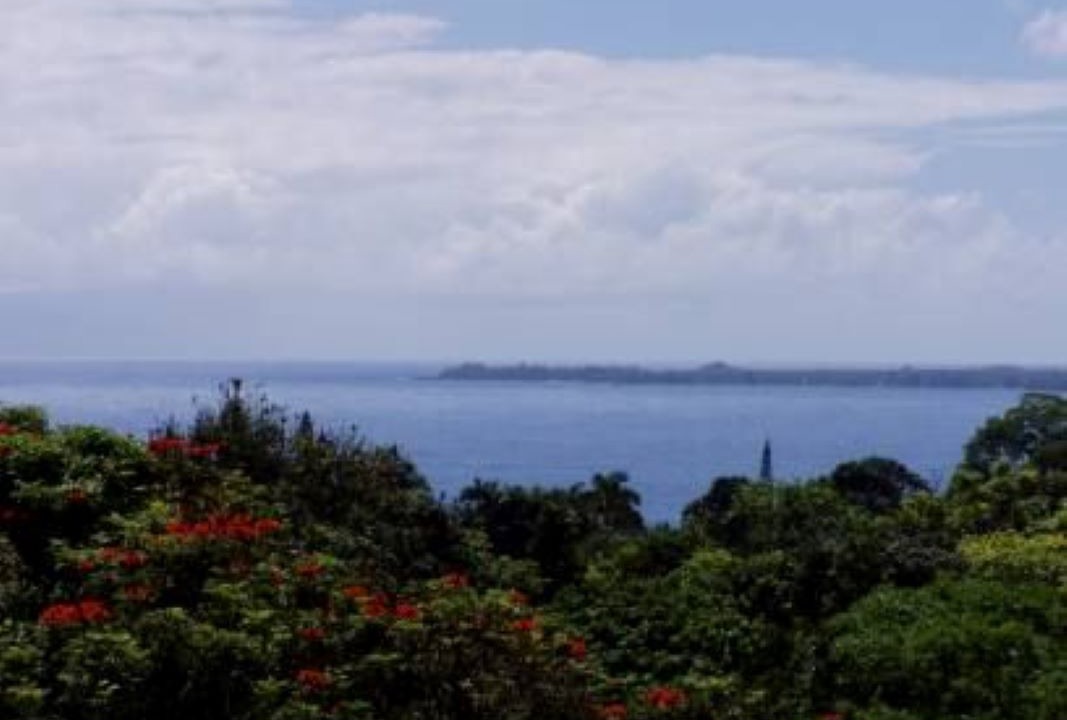 Photo of Others in Papaikou