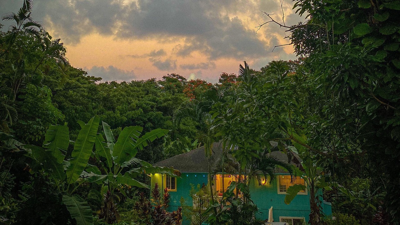 Photo of Outdoor in Hana