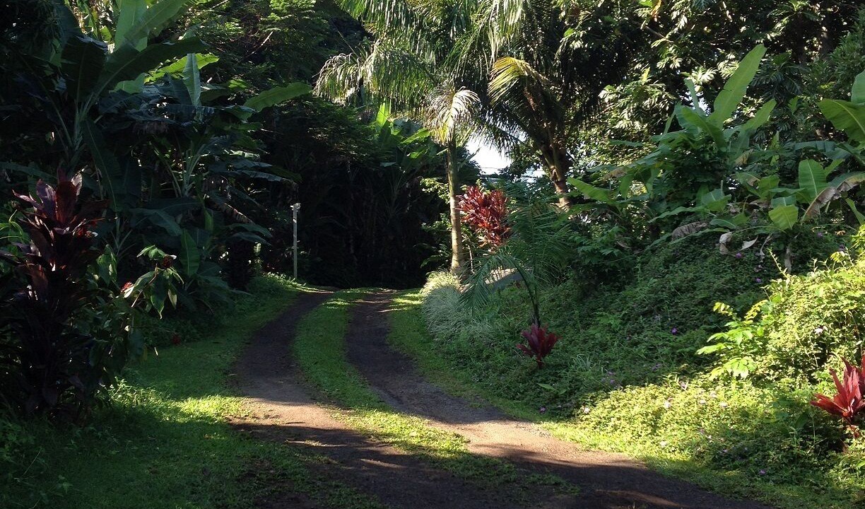Photo of Outdoor in Hana