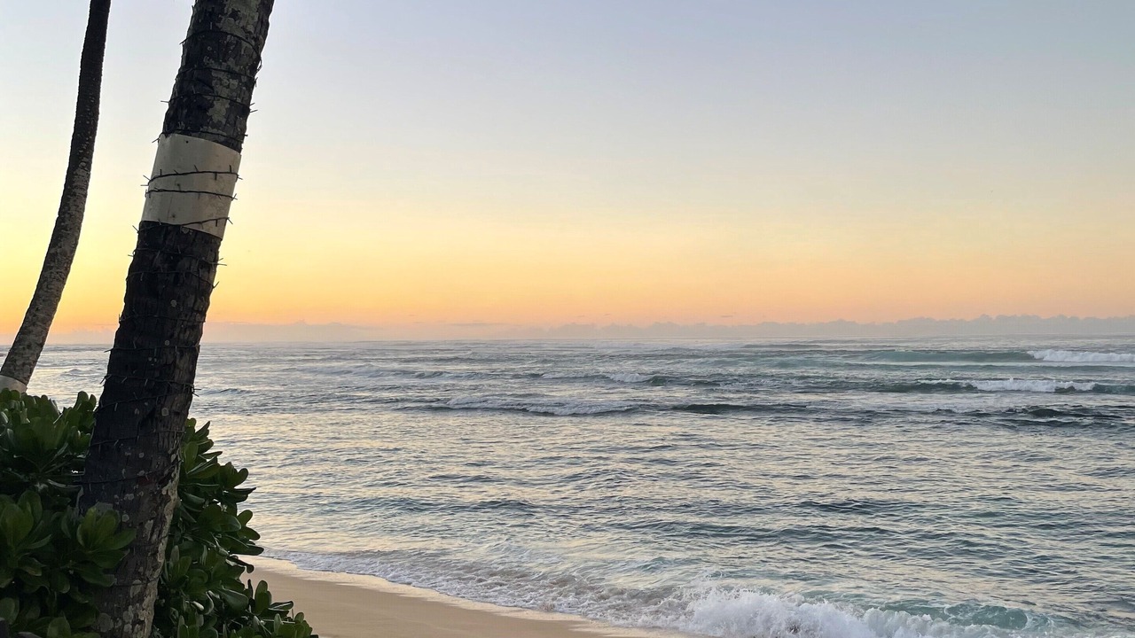 Photo of Others in Mokuleia