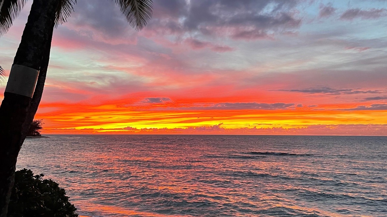 Photo of Others in Mokuleia
