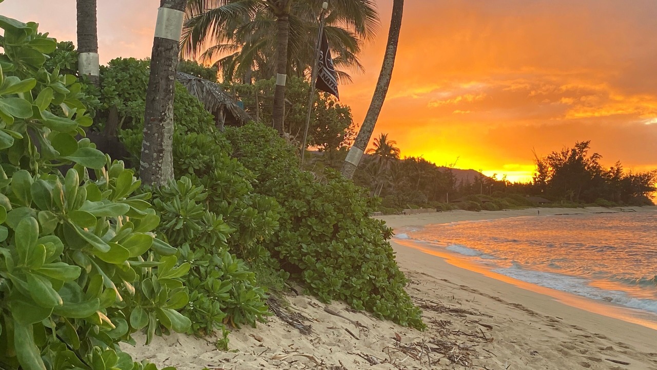 Photo of Others in Mokuleia