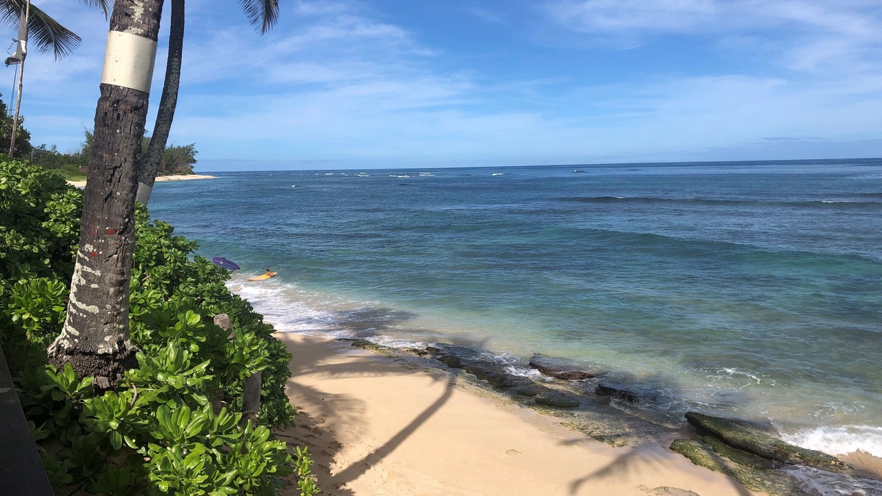 Photo of Others in Mokuleia